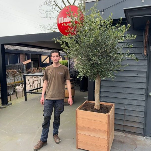 WhatsApp Image 2024-04-09 at 16.44.36